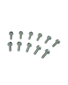 BOLTS, LIFTER VALLEY PLATE, GM LS  LSX